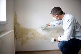 Best Biohazard Mold Removal  in Cleveland, WI